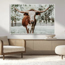Texas Longhorn Wall Art Canvas Print – Framed Spotted Bull