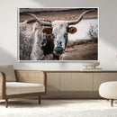 Texas Longhorn Wall Art Canvas Print – Framed Spotted Bull