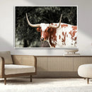 Texas Longhorn Wall Art Canvas Print – Framed Spotted Bull