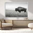 Bison in Prairie Wall Art Canvas Print – Framed Rustic by MyGreatCanvas | Canvas Wall Art Prints | Photo Prints & Wall Decor
