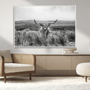 Monochrome Highland Cow Wall Art Canvas Print – Framed by MyGreatCanvas | Canvas Wall Art Prints | Photo Prints & Wall Decor