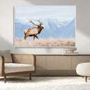 Elk Wall Art Canvas Print – Framed Mountain Wildlife Art by MyGreatCanvas | Canvas Wall Art Prints | Photo Prints & Wall Decor