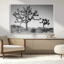 Joshua Tree Wall Art Canvas Print – Framed Desert Tree Art by MyGreatCanvas | Canvas Wall Art Prints | Photo Prints & Wall Decor