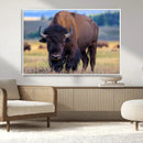 Bison Photography Wall Art Canvas Print – Framed Rustic by MyGreatCanvas | Canvas Wall Art Prints | Photo Prints & Wall Decor