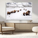 Bison Herd Wall Art Canvas Print – Framed Western Wildlife by MyGreatCanvas | Canvas Wall Art Prints | Photo Prints & Wall Decor