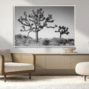 Joshua Tree Wall Art Canvas Print, Framed Monochrome Desert by MyGreatCanvas | Canvas Wall Art Prints | Photo Prints & Wall Decor