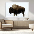 Bison Wall Art Canvas Print – Framed Western Wildlife by MyGreatCanvas | Canvas Wall Art Prints | Photo Prints & Wall Decor