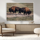 Bison Wall Art Canvas Print – Framed Western Wildlife Modern by MyGreatCanvas | Canvas Wall Art Prints | Photo Prints & Wall Decor