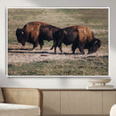 Bison Wall Art Canvas Print – Framed Western Wildlife Art by MyGreatCanvas | Canvas Wall Art Prints | Photo Prints & Wall Decor