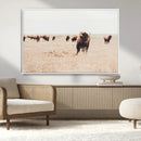 Bison Herd Wall Art Canvas Print – Framed Western Prairie