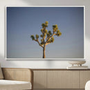 Joshua Tree Wall Art Canvas Print – Framed Southwestern by MyGreatCanvas | Canvas Wall Art Prints | Photo Prints & Wall Decor