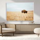 Buffalo Wall Art Canvas Print – Framed Western Wildlife by MyGreatCanvas | Canvas Wall Art Prints | Photo Prints & Wall Decor
