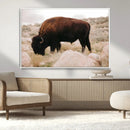 Western Wildlife Wall Art Canvas Print, Majestic Wilderness by MyGreatCanvas | Canvas Wall Art Prints | Photo Prints & Wall Decor