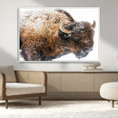 Snowy Buffalo Wall Art Canvas Print – Framed Rustic Lodge by MyGreatCanvas | Canvas Wall Art Prints | Photo Prints & Wall Decor
