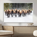 Bison Herd Scene Wall Art Canvas Print – Framed Western by MyGreatCanvas | Canvas Wall Art Prints | Photo Prints & Wall Decor