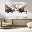Dramatic Elk Antler Battle Wall Art Canvas Print – elk by MyGreatCanvas | Canvas Wall Art Prints | Photo Prints & Wall Decor
