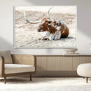 Majestic Longhorn Wall Art Canvas Print – Resting on Sunlit by MyGreatCanvas | Canvas Wall Art Prints | Photo Prints & Wall Decor