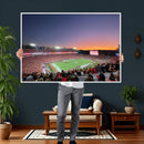 Dooley Stadium Wall Art, Sports Arena Canvas Print, Dooley