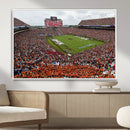 Jordan-Hare Stadium Wall Art Canvas Print, College Sports by MyGreatCanvas | Canvas Wall Art Prints | Photo Prints & Wall Decor