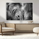 Wild Old Elephant Wall Art Canvas Print