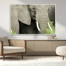 Wild Elephant Wall Art Canvas Print by MyGreatCanvas | Canvas Wall Art Prints | Photo Prints & Wall Decor