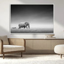 Elephand and Zebra Wall Art Canvas Print, Modern Artwork