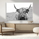 Newfoundland Cow Art Wall Art, Black White Cow Art Wall Art