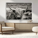 Cow Focus Canvas Wall Art Print by MyGreatCanvas | Canvas Wall Art Prints | Photo Prints & Wall Decor