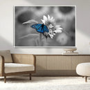 Blue Butterfly Black and White Canvas Wall Art by MyGreatCanvas | Canvas Wall Art Prints | Photo Prints & Wall Decor