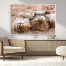 Lion Pair Wall Art Canvas Print – Framed Wildlife Scene with