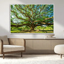 Majestic Oak Tree Wall Art – Serene Nature Canvas Print with