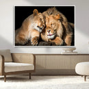 Lion and Lioness Wall Art Canvas Print – Framed African