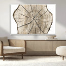 Abstract Wood Tree Ring Wall Art - Ready to Hang Minimalist