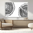 Abstract Large Tree Rings – Minimalist Black and White Wood