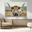 Texas Cow Longhorn Wall Art Canvas Print for Farm House Wall