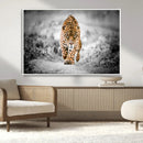 Jaguar Wall Art Canvas Print - Majestic Big Cat in Focused by MyGreatCanvas | Canvas Wall Art Prints | Photo Prints & Wall Decor