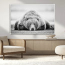Resting Grizzly Bear Wall Art Canvas Print – Majestic Lazy by MyGreatCanvas | Canvas Wall Art Prints | Photo Prints & Wall Decor