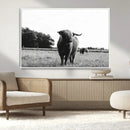 Black and White Highland Cow Wall Art Canvas Print | Rustic