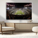Eagles Field Stadium Wall Art - Philadelphia Eagles Football