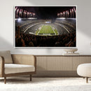 Eagles Field Stadium Wall Art - Philadelphia Eagles Football