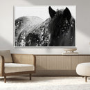 Black Horse in Snow Canvas Print | Winter Horse Wall Art |