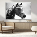 Horse Canvas Print - Winter Horse Snow Wall Art Canvas Print