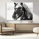 Framed Black and White Horse Wall Art | Ready to Hang and by MyGreatCanvas | Canvas Wall Art Prints | Photo Prints & Wall Decor