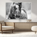 Black and White Horse Winter Wall Art | Ready to Hang and