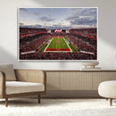 Florida Tampa Raymond James Stadium Wall Art Canvas Print -