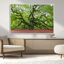 Framed Angel Oak Tree Wall Art - 3-Panel Canvas Prints,