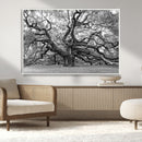 Black White Angel Oak Tree Wall Art - Timeless