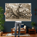 Sepia Framed Angel Oak Tree Wall Art - 3-Panel Canvas