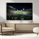 Framed Michigan State Spartans Football Team Print - East