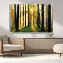 Sunlit Forest Wall Art Canvas Print – Large Framed Woodland